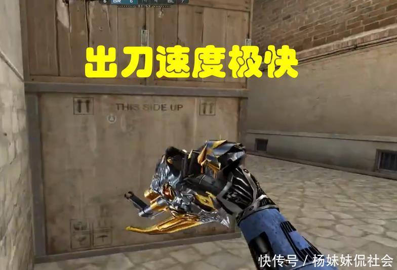 医疗与保险 医疗与保险