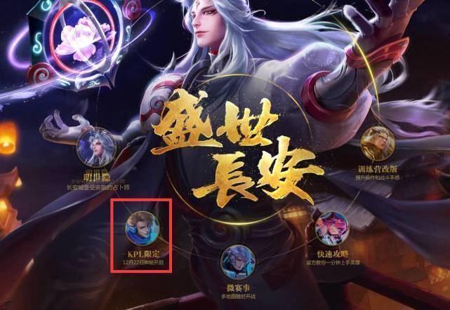 兼具观赏性 兼具观赏性